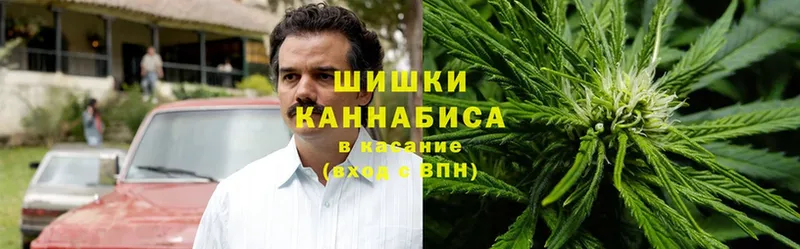 дарк нет телеграм  Струнино  Шишки марихуана OG Kush 